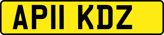 AP11KDZ