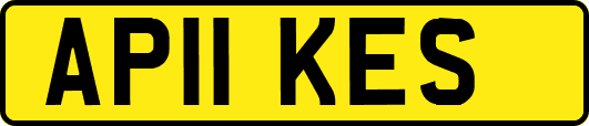 AP11KES