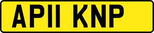 AP11KNP