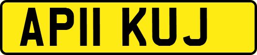 AP11KUJ