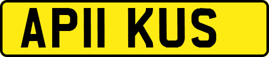 AP11KUS