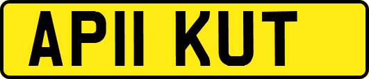 AP11KUT