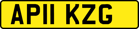 AP11KZG