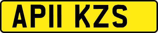AP11KZS
