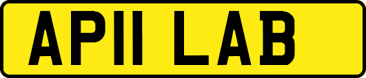 AP11LAB