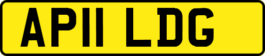 AP11LDG