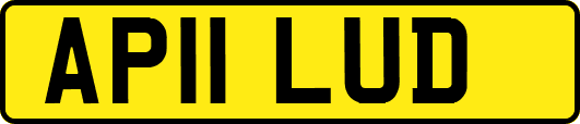 AP11LUD