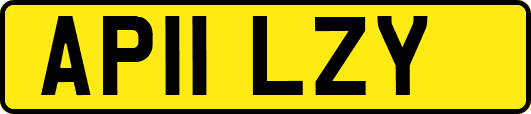 AP11LZY