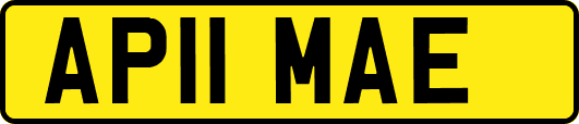 AP11MAE