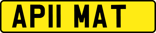 AP11MAT