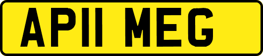 AP11MEG