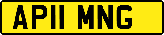 AP11MNG