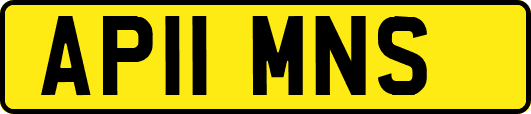 AP11MNS