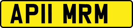 AP11MRM
