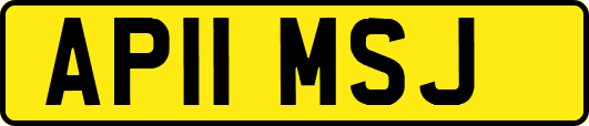 AP11MSJ
