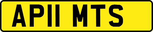 AP11MTS