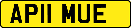 AP11MUE