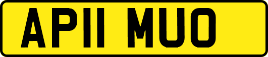 AP11MUO