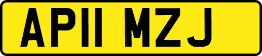 AP11MZJ
