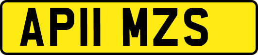 AP11MZS
