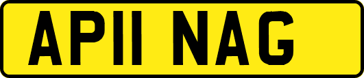 AP11NAG