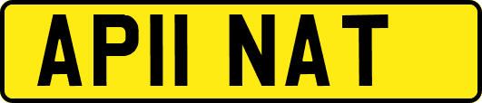 AP11NAT