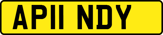 AP11NDY