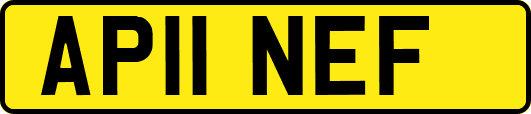 AP11NEF