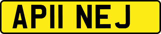 AP11NEJ