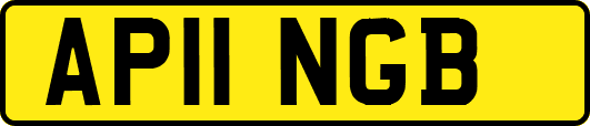 AP11NGB