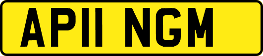 AP11NGM