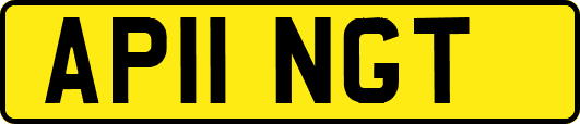 AP11NGT