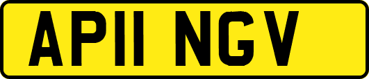 AP11NGV