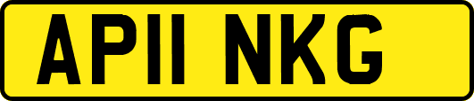 AP11NKG
