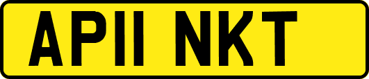 AP11NKT