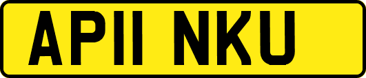 AP11NKU
