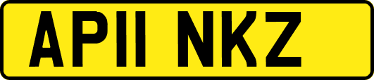 AP11NKZ