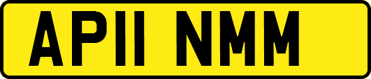 AP11NMM