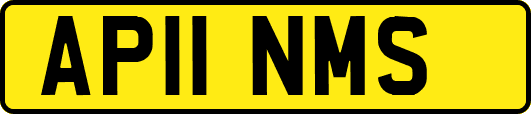 AP11NMS