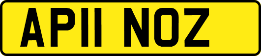 AP11NOZ
