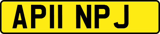 AP11NPJ
