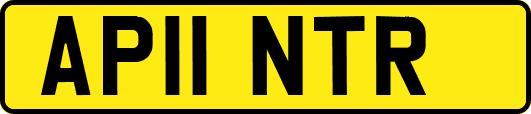 AP11NTR