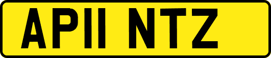 AP11NTZ