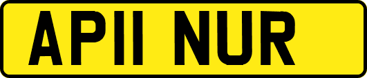 AP11NUR