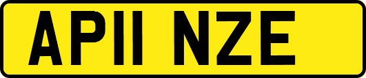 AP11NZE