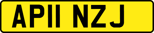 AP11NZJ