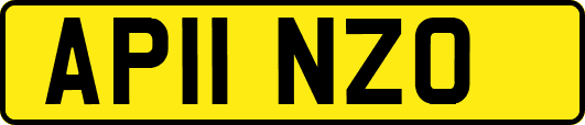 AP11NZO