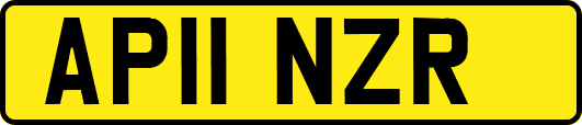 AP11NZR