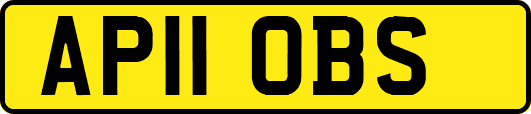 AP11OBS