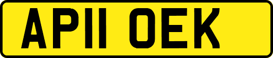 AP11OEK